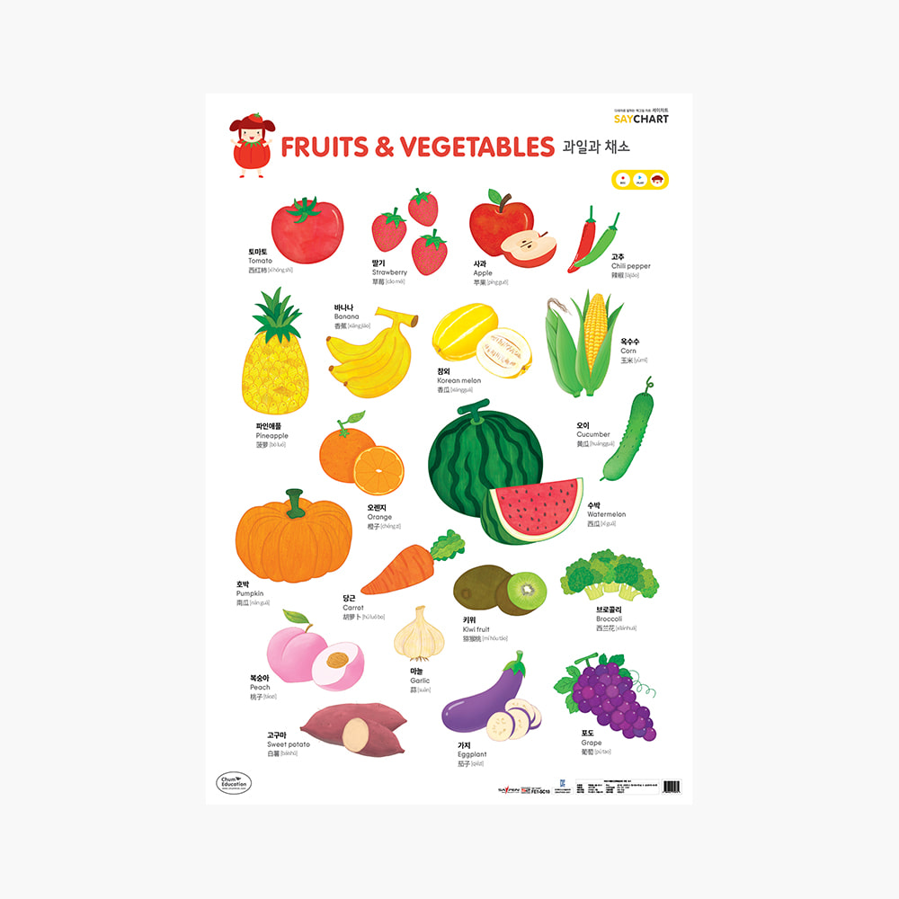 하뚱세이차트 과일과 채소